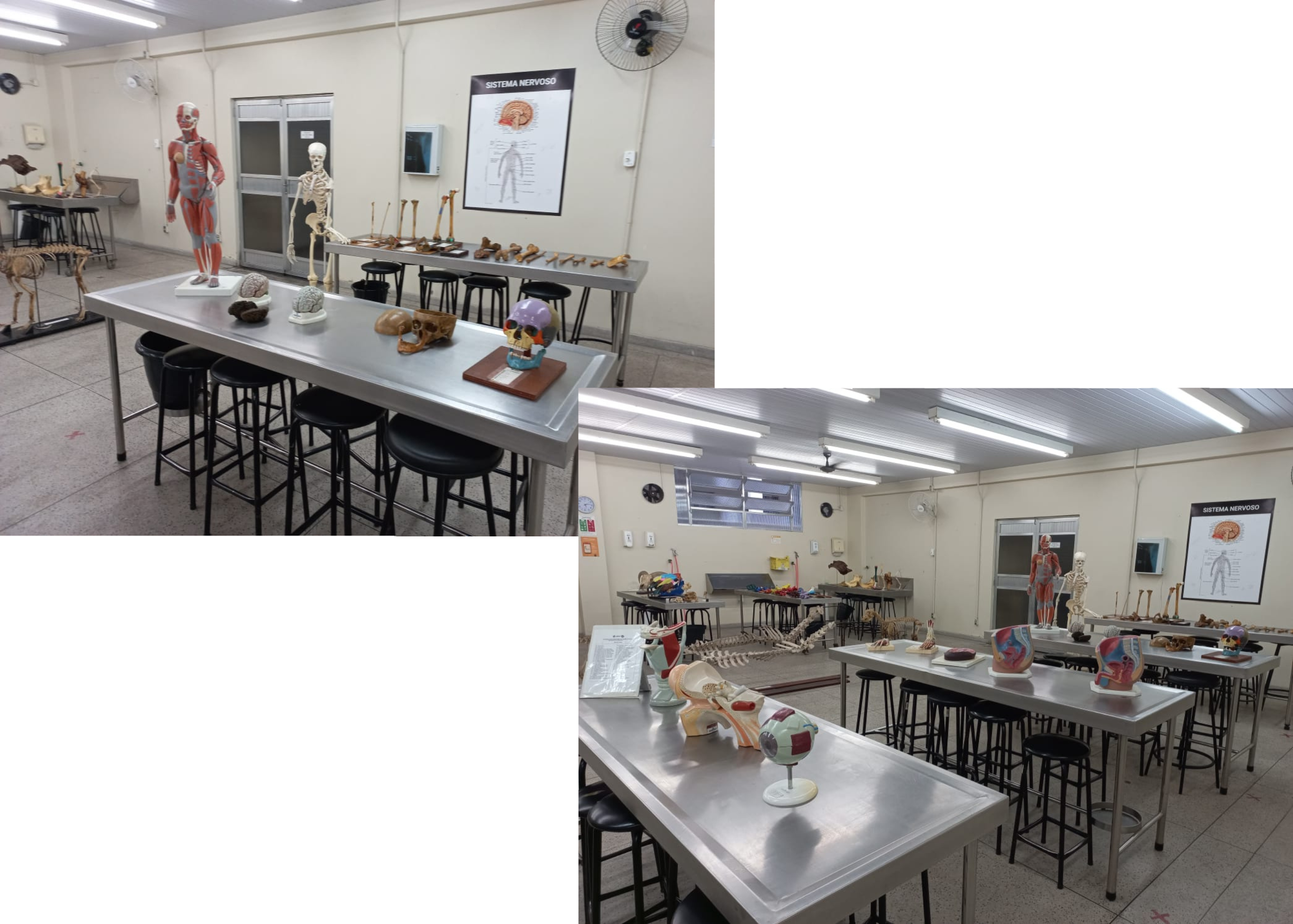 Laboratório de Anatomia